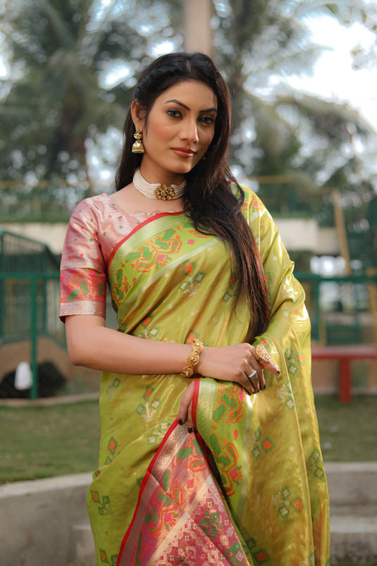 Beautiful and Premium Organza Silk Sarees