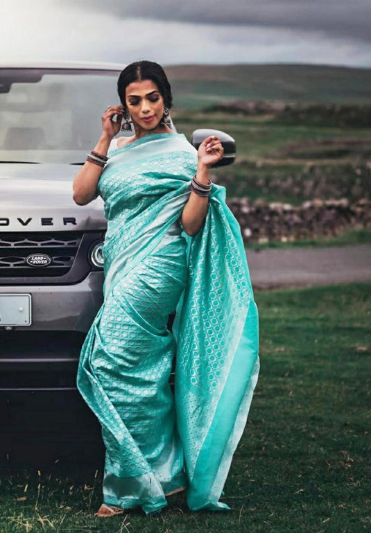 Beautiful Rich Pallu & Jaccquard Work On All Over Saree - thevendorvilla