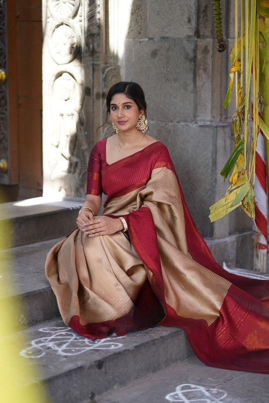 Beautiful Rich Pallu & Jaccquard Work On All Over Saree - thevendorvilla