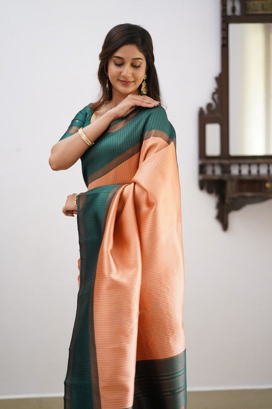 Beautiful Rich Pallu & Jaccquard Work On All Over Saree - thevendorvilla