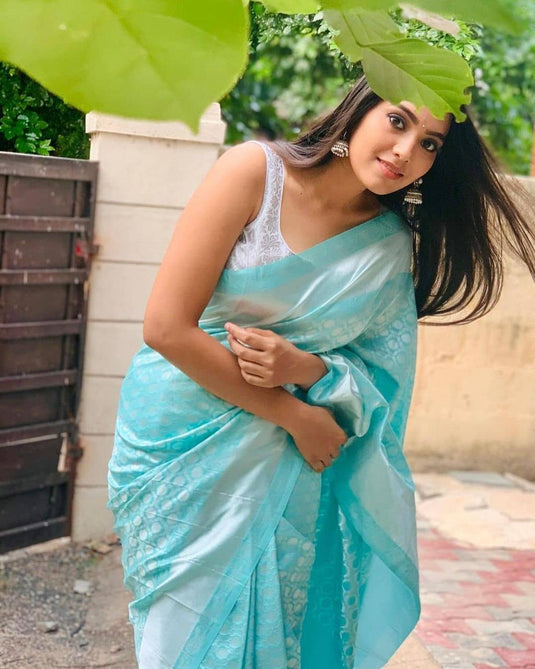 Beautiful Rich Pallu & Jaccquard Work On All Over Saree - thevendorvilla
