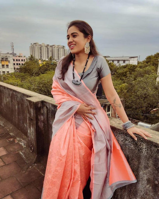 Beautiful Rich Pallu & Jaccquard Work On All Over Saree - thevendorvilla