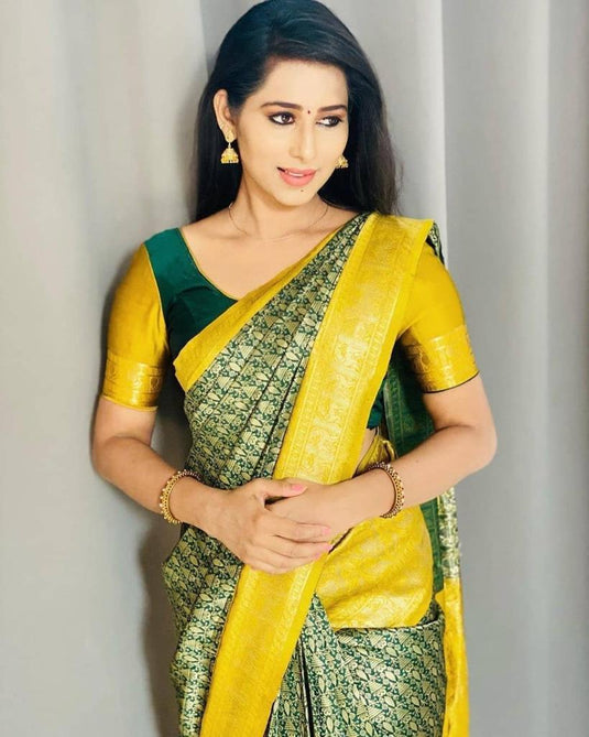 Beautiful Rich Pallu & Jaccquard Work On All Over Saree - thevendorvilla