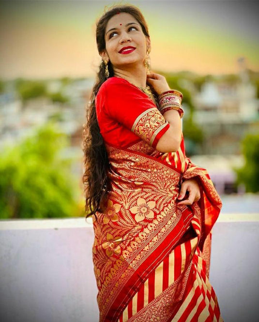 Beautiful Rich Pallu & Jaccquard Work On All Over Saree - thevendorvilla