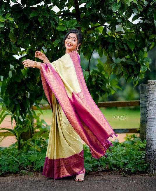 Beautiful Rich Pallu & Jaccquard Work On All Over Saree - thevendorvilla