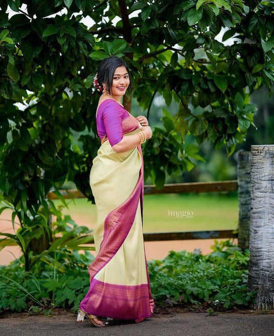 Beautiful Rich Pallu & Jaccquard Work On All Over Saree - thevendorvilla