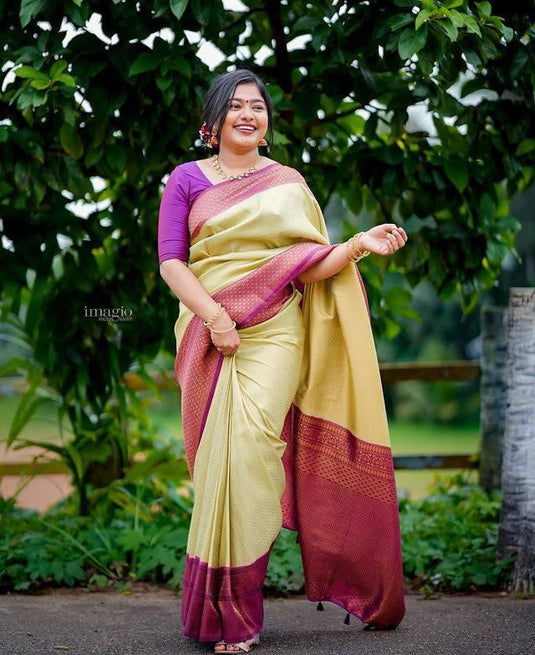 Beautiful Rich Pallu & Jaccquard Work On All Over Saree - thevendorvilla
