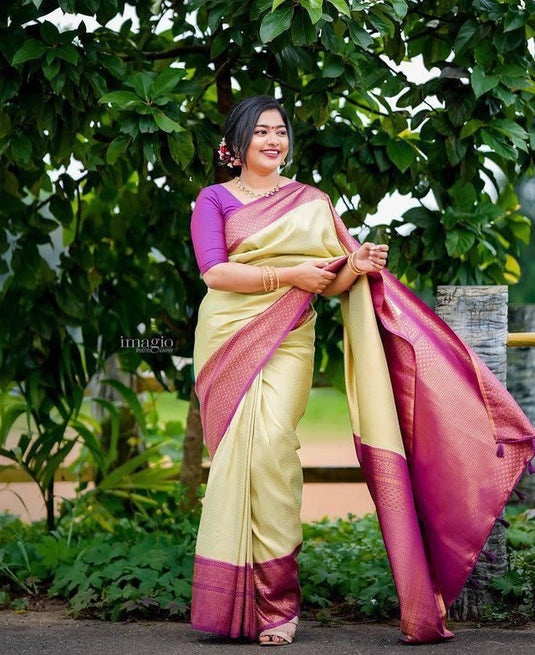 Beautiful Rich Pallu & Jaccquard Work On All Over Saree - thevendorvilla