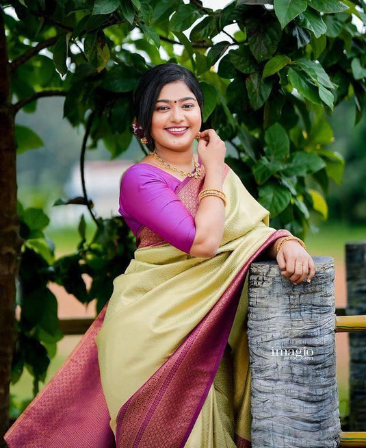 Beautiful Rich Pallu & Jaccquard Work On All Over Saree - thevendorvilla