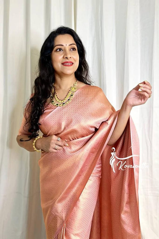 Beautiful Rich Pallu & Jaccquard Work On All Over Saree - thevendorvilla