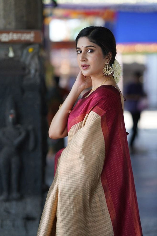 Beautiful Rich Pallu & Jaccquard Work On All Over Saree - thevendorvilla