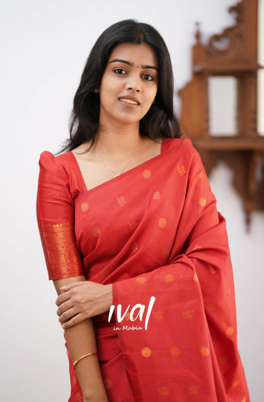 Beautiful Rich Pallu & Jaccquard Work On All Over Saree - thevendorvilla