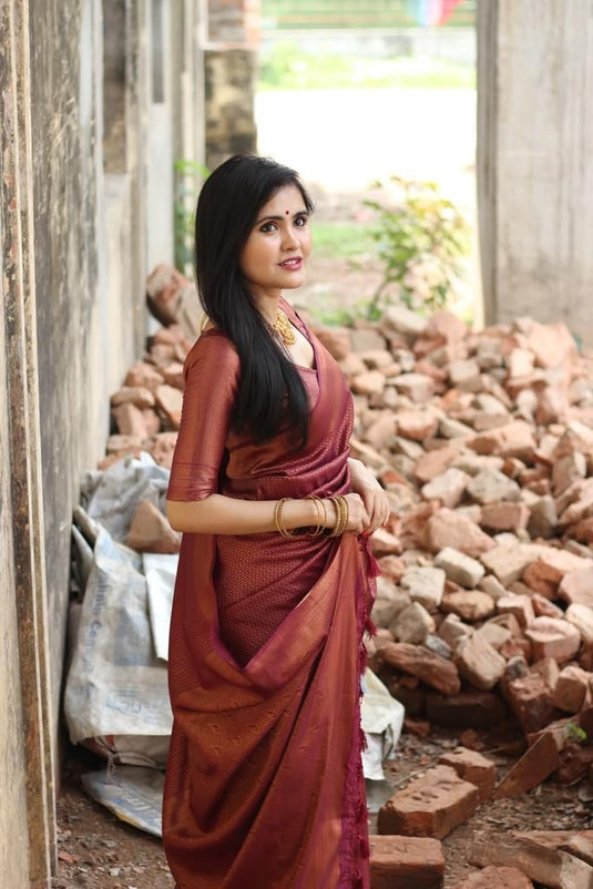 Beautiful Rich Pallu & Jaccquard Work On All Over Saree - thevendorvilla