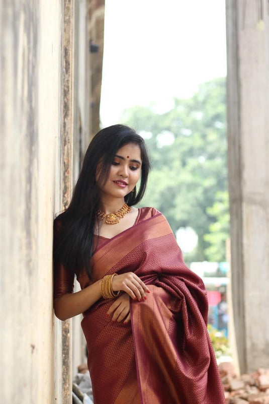 Beautiful Rich Pallu & Jaccquard Work On All Over Saree - thevendorvilla
