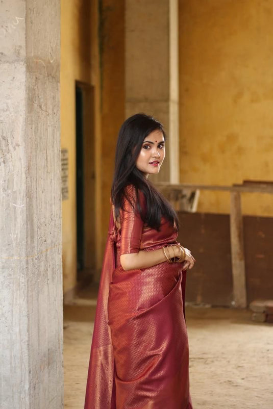 Beautiful Rich Pallu & Jaccquard Work On All Over Saree - thevendorvilla