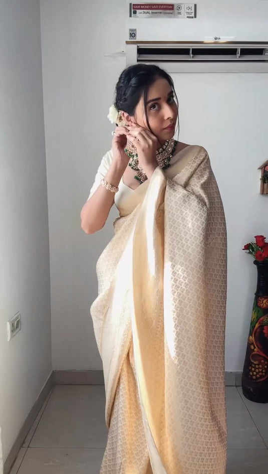 Beautiful Rich Pallu & Jaccquard Work On All Over Saree - thevendorvilla