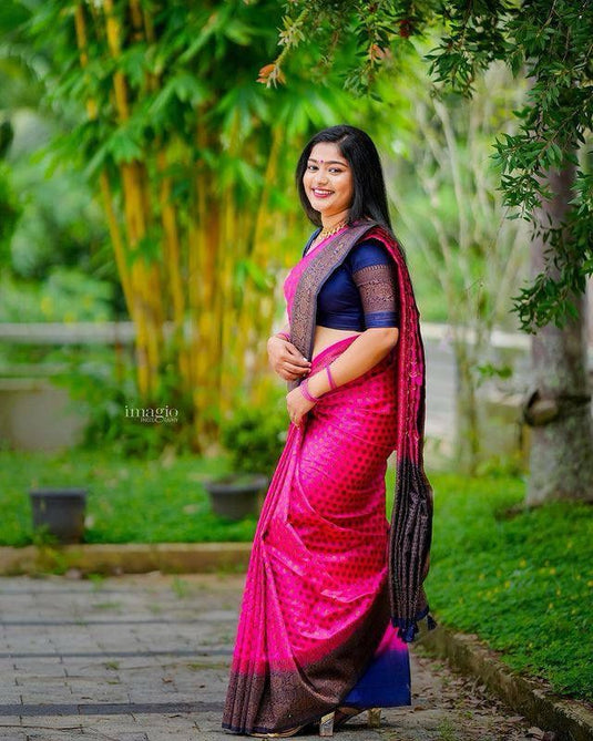 Beautiful Rich Pallu & Jaccquard Work On All Over Saree - thevendorvilla
