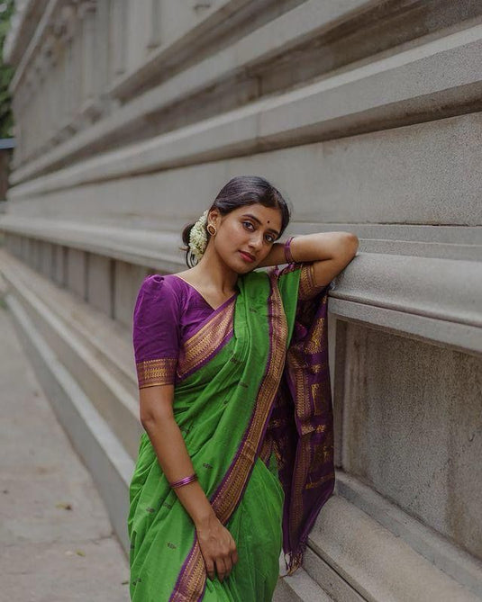 Silk Sensation: Lichi Saree