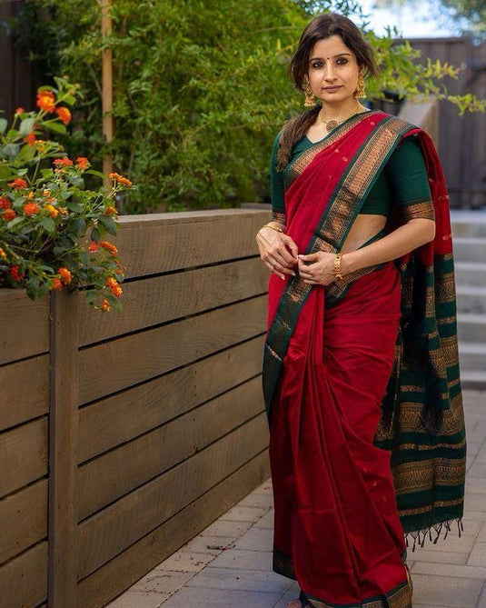 Silk Sensation: Lichi Saree
