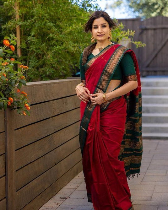Silk Sensation: Lichi Saree