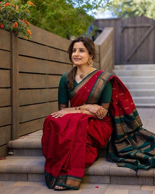Silk Sensation: Lichi Saree